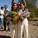 ANT 0791